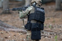 C83A4352