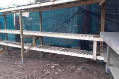IMG-20210525-WA0024