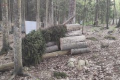 IMG_20210523_190133